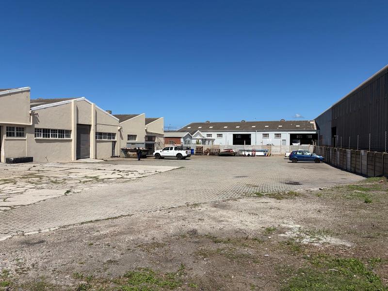 To Let Commercial Property for Rent in Deal Party Eastern Cape